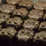 Velkolosinské pralinky